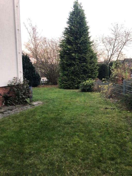 Ferienwohnung Bergbluete Браунлаге Екстериор снимка