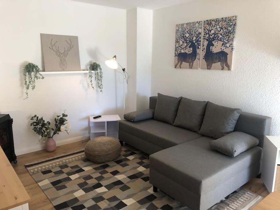Ferienwohnung Bergbluete Браунлаге Екстериор снимка