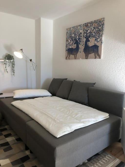 Ferienwohnung Bergbluete Браунлаге Екстериор снимка